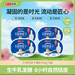 惠丰优牧尔滨奶皮子酸奶400g非干噎酸奶盒装整箱原味早餐营养酸奶