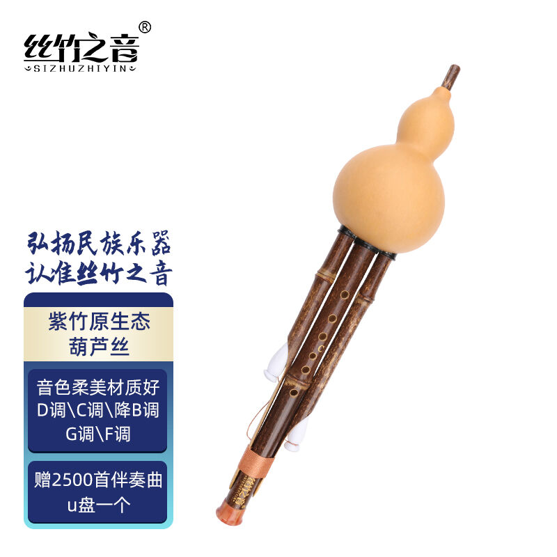 丝竹之音葫芦丝紫竹原生态七孔傣味云南民族吹奏乐器成人专业演奏