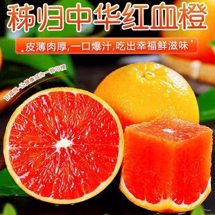湖北中华红血橙当季时令水果整箱包邮红心肉橙手剥橙子包邮