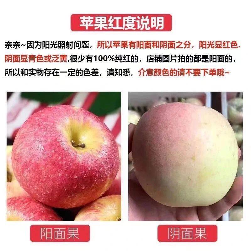 【膜袋非全红】陕西红富士苹果当季水果红富士苹果包邮水果苹果