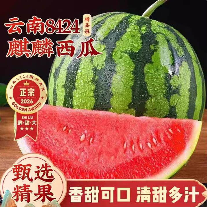 云南麒麟西瓜新鲜水果甜瓜西瓜整件包邮当季现摘红肉西瓜脆甜多汁