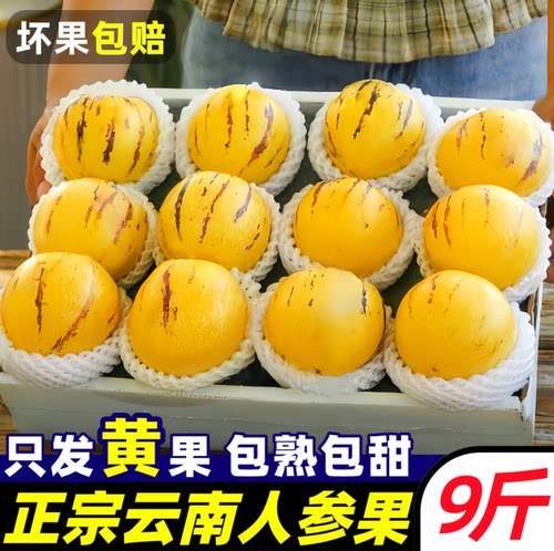 树熟人参果新鲜云南石林人叁果