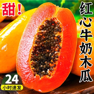 红心牛奶木瓜新鲜采摘9斤广西当季水果青皮孕妇冰糖心下奶自然熟