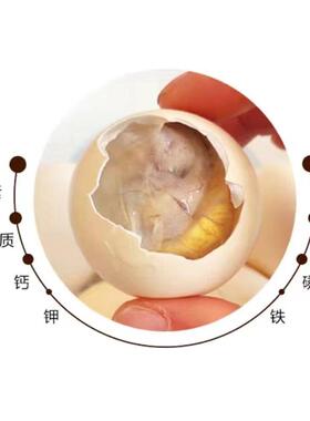新珠子生蛋鸡胚蛋13BWW天活活珠子生的钢化蛋鲜麻毛蛋半蛋龙凤辣