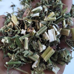 东北野益生益益母草,母草,益母草野生新到货,晒干草,野生母草