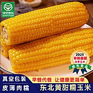 【300g*8根】东北黄糯玉米绿色食品认证