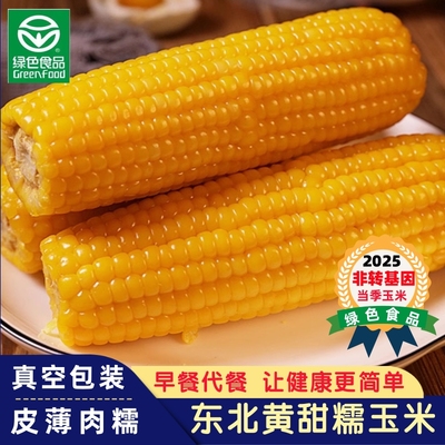 东北真空装甜糯黄玉米大棒