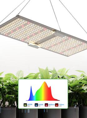 量子板植物补光灯100W 200W 300W仿太阳全光谱花卉led植物生长灯