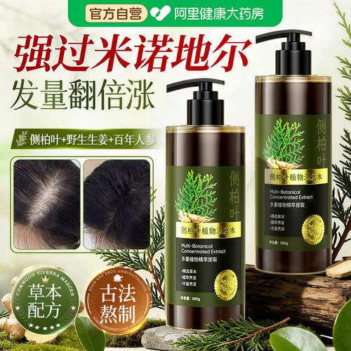 【草本熬制】侧柏叶防脱洗发水