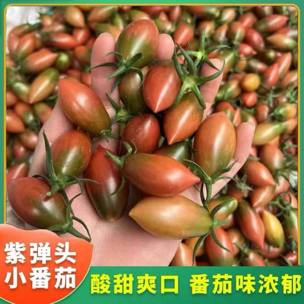 农家紫弹头迷彩小番茄露天种植当季新鲜酸甜脆多汁圣女果孕水果,水产肉类/新鲜蔬果/熟食,番茄,淘宝优惠券,粉丝福利购,淘宝优惠卷