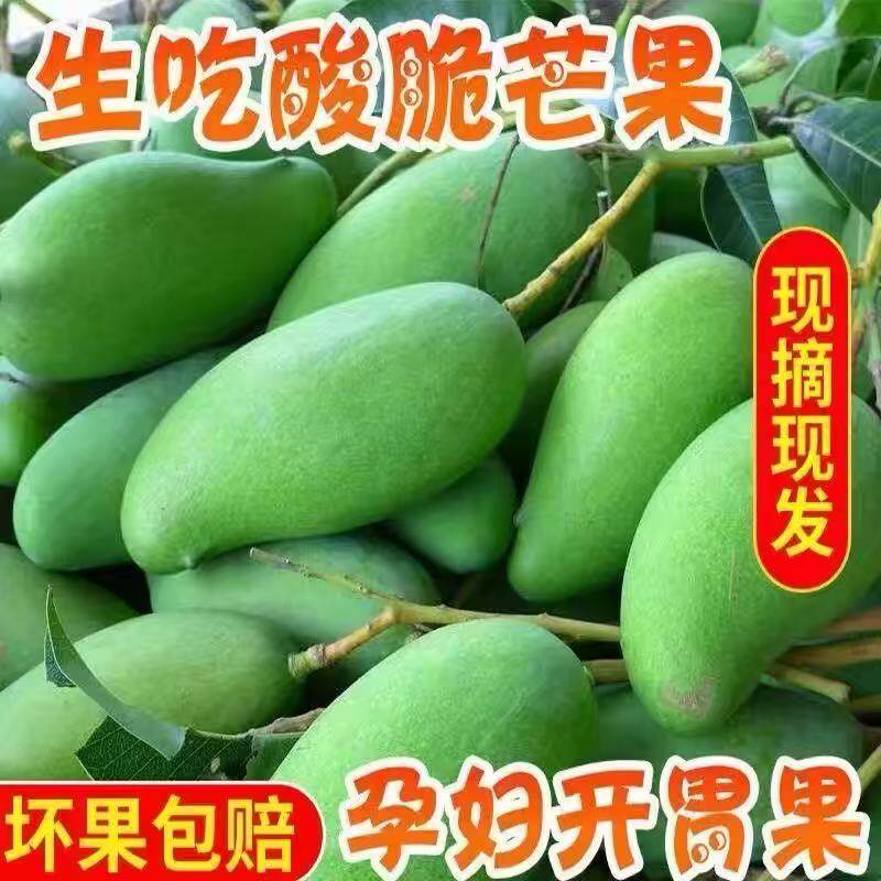 象牙芒生芒果新鲜酸芒果生吃酸脆青芒果孕妇水果整箱包邮送椒盐粉