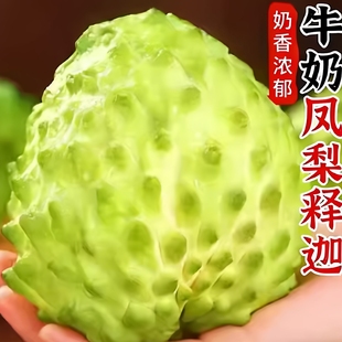 牛奶凤梨释迦果新鲜水果当季佛头果释迦摩尼果番荔枝大果整箱包邮