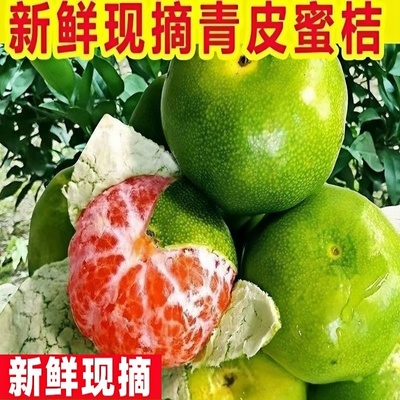 云南蜜桔早熟青皮橘子特酸玉溪新鲜桔子应季孕妇水果绿皮酸甜多汁