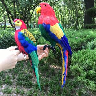 仿真鹦鹉羽毛鸟类模型鸟动物标本家居饰品工艺品摆件园林室内装饰
