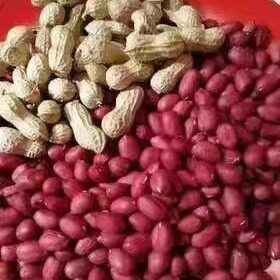 湖北恩施小村富硒带壳红米花生红衣红皮花生生花生特产3斤包邮
