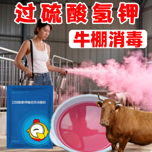 牛棚消毒过硫酸氢钾牛棚牛舍消毒养牛场消毒专用带牛消毒