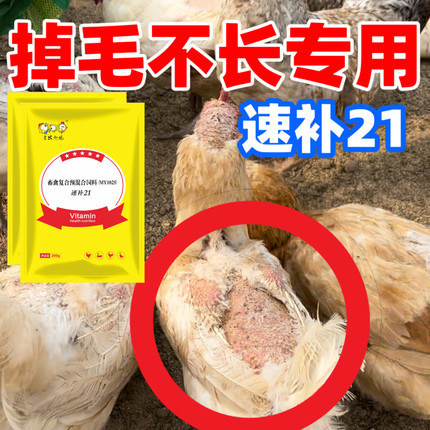 速补21多维鸡掉毛啄蛋鸡吃鸡蛋鸡啄蛋营养药鸡长肉产蛋补钙长黄油