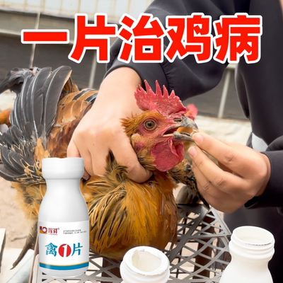 禽一片鸡感打冒蔫呼咳噜嗖状态不好通用金银花甘草等多种中草提取