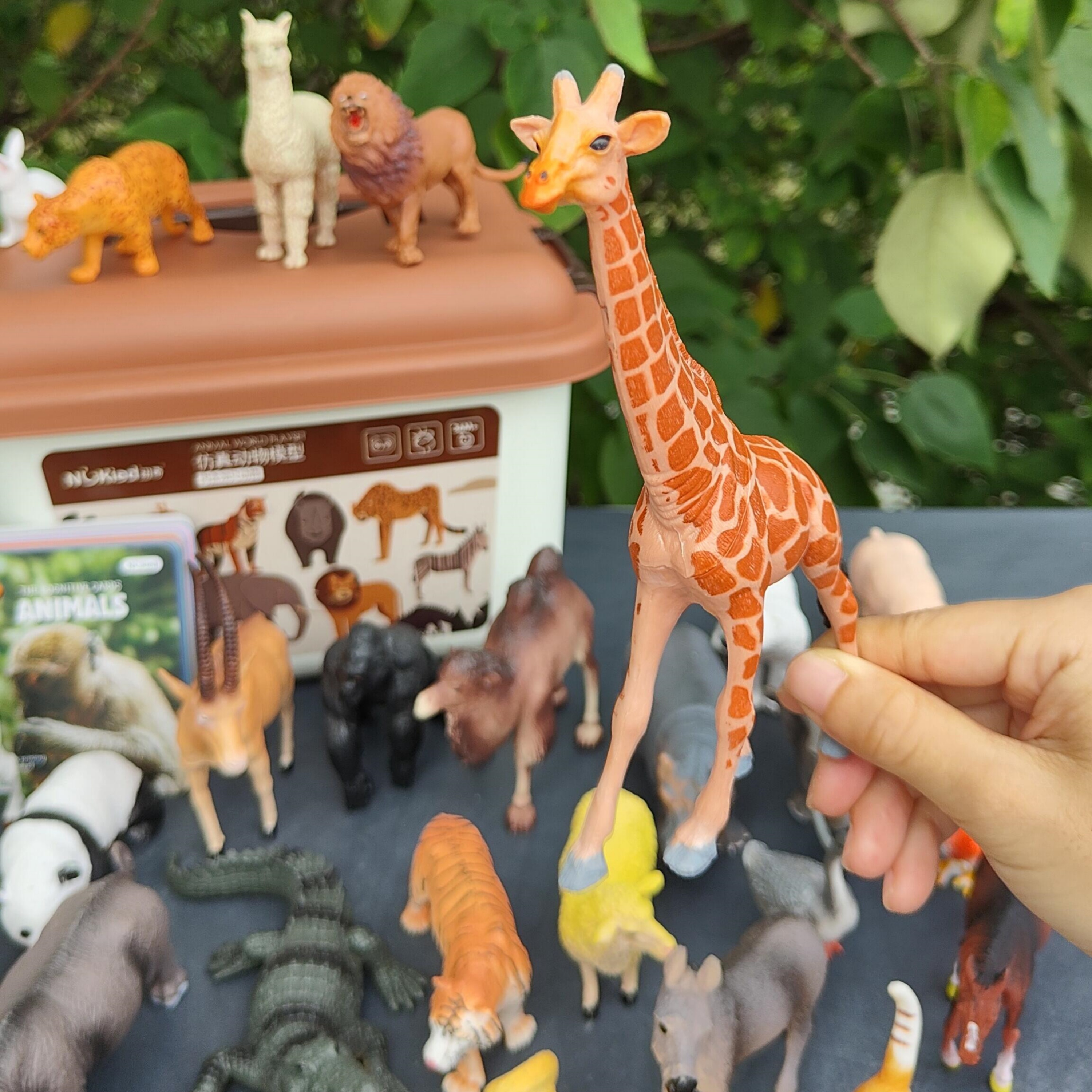 动物模型仿真恐龙儿童早教认知教材纽奇野生动物公仔宝宝益智玩具