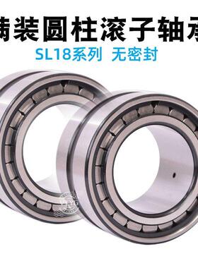 满装圆柱滚子轴承SL18 SL04/NNCF 5004 5005 5006 5007 5008 5009