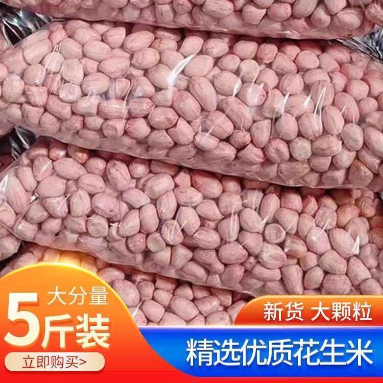 新鲜生花生花生米大袋五斤三斤装河南南阳粉皮大白沙花生香脆榨油