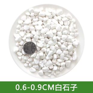 纯天然小石子白色石头鹅卵石园林造景庭院日式花园水磨石滤料铺路