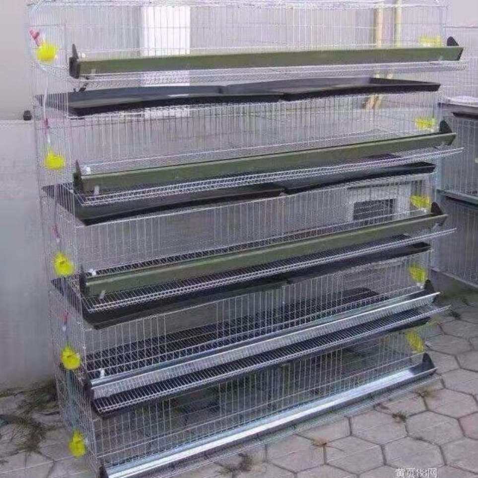 鹌鹑笼养殖笼立式六层鹌鹑笼自动滚蛋家用鹧鸪养殖笼