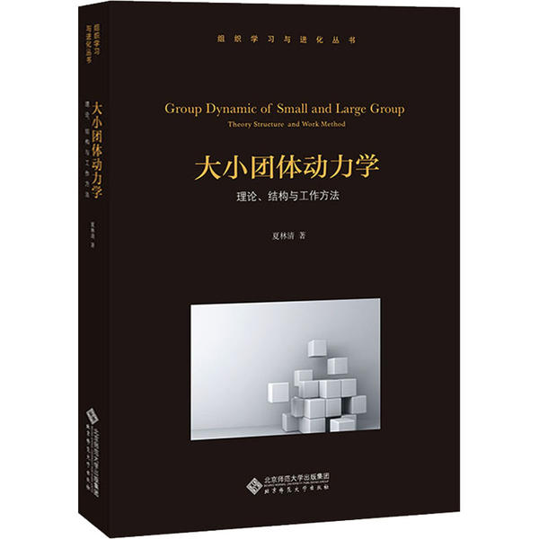 大小团体动力学理论结构与工作方法夏林清北京师范大学出版社社会心理学团体辅导心理学理论咨询心理学团体咨询心理学教材