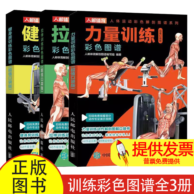 全 3 册健身房训练 + 力量训练 + 拉伸训练彩色图谱人邮体育编写组编人民邮电出版社健身动作图解健身爱好者实用工具书