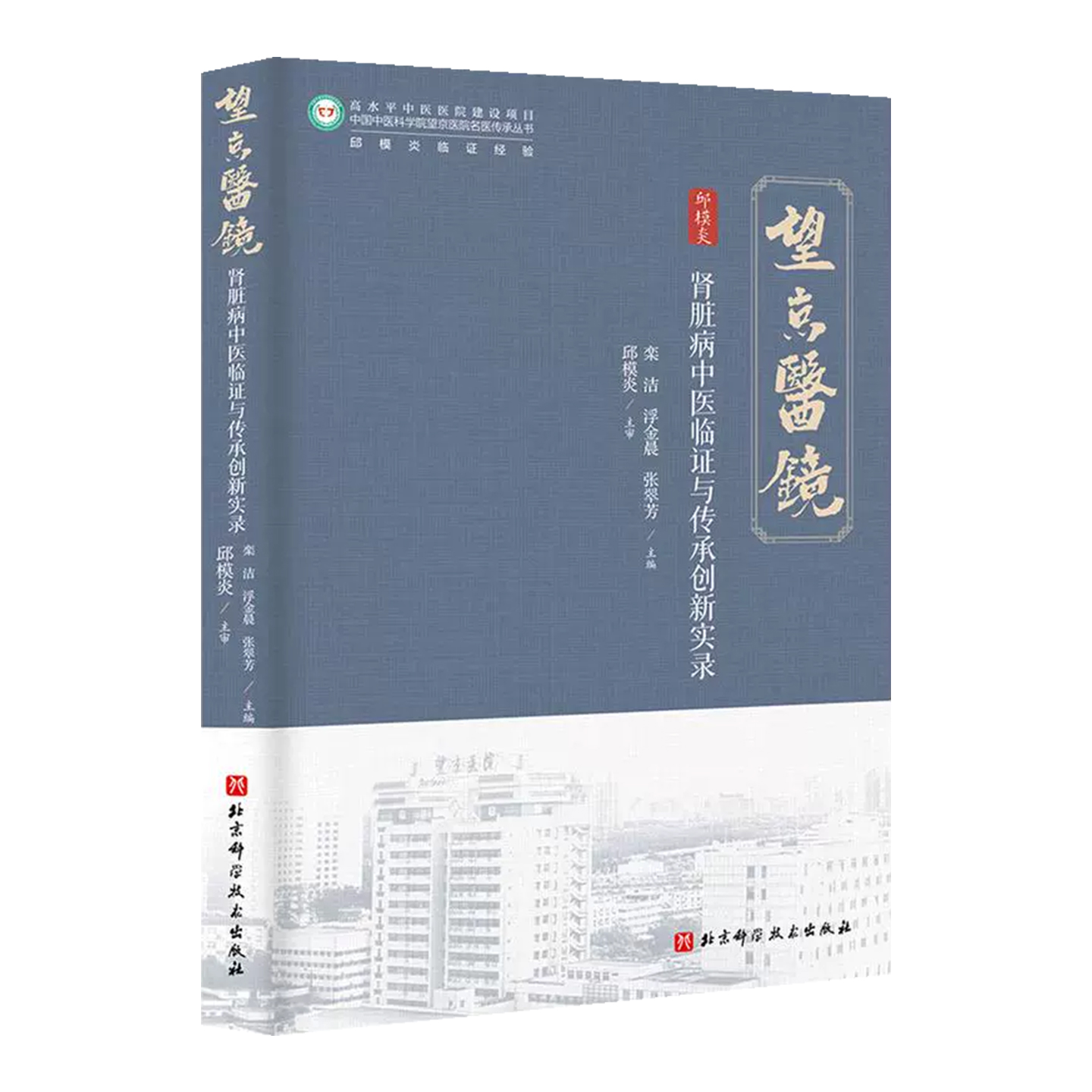 肾病中医临证经验及医案实录 肾病中医辨证论治临床实践指南 中医治疗方案 医诊疗思路与方法 名老中医肾病辨证施治治疗经验传承