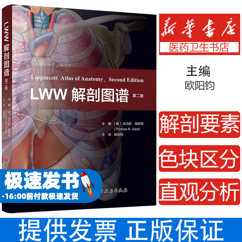 LWW解剖图谱 第2版 北京科学技术出版社 背部上肢下肢胸部腹部骨盆会阴头颈部八大区域 人体解剖结构详解医学教育经典图谱