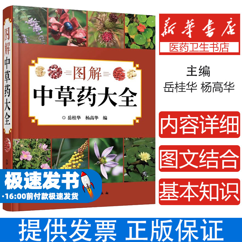 图解中草药大全岳桂华、杨高华 编化学工业出版社9787122272935医学卫生/药学