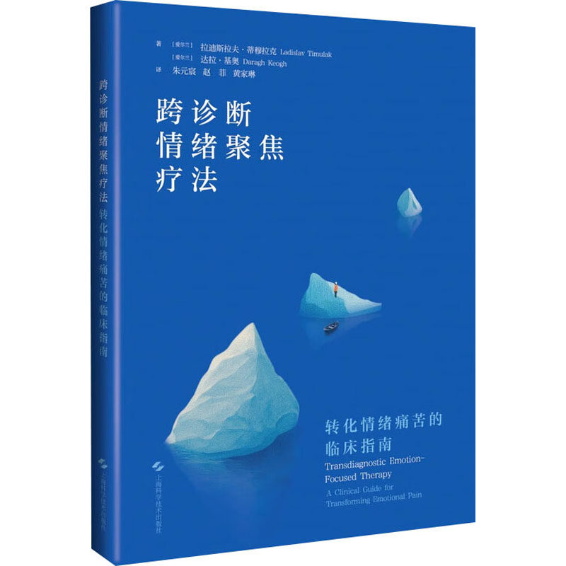 跨诊断情绪聚焦疗法:转化情绪痛苦的临床指南:a clinical guide for transforming emotional pain