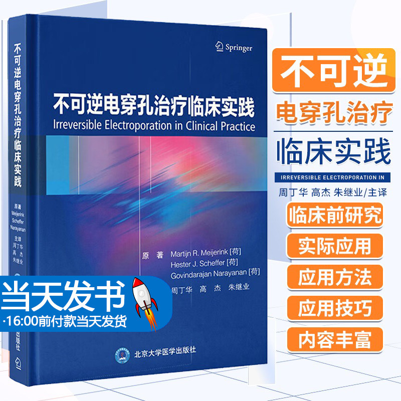 可逆临床不可逆电穿孔中的多尺度