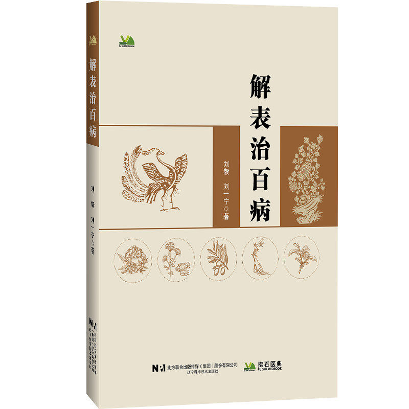 解表治百病刘毅刘一宁辽宁科学技术出版社外感论治疾病典型医案分析疑难杂症诊疗中医临床实践疾病诊断治疗感冒辨证调理方剂配伍