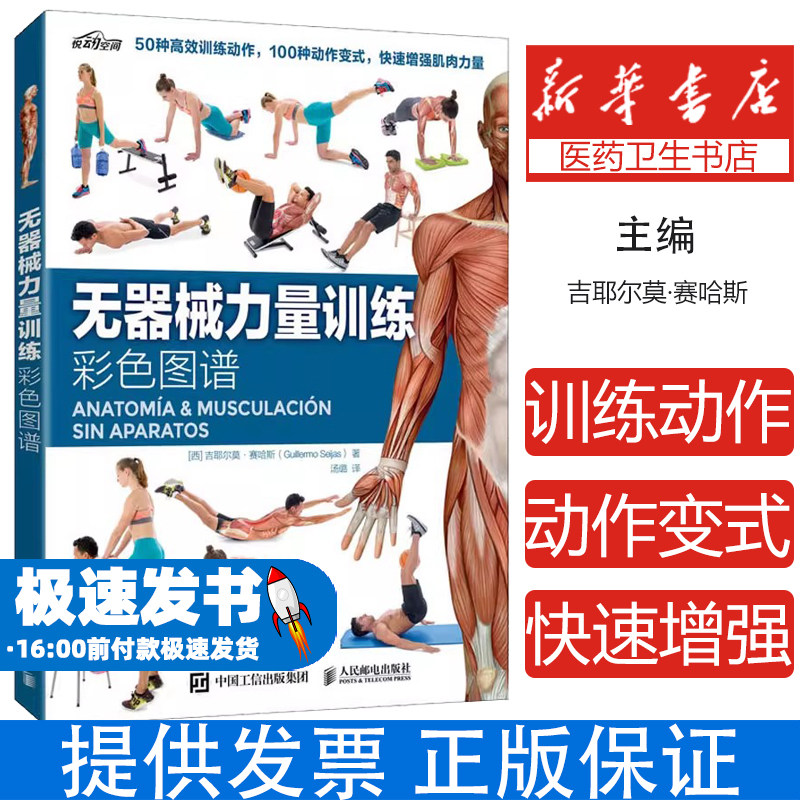 无器械力量训练彩色图谱 拉伸训练彩色图谱肌肉力量训练彩色图谱 健身塑身书籍 健美训练肌肉解剖科学运动 肌肉腹肌锻炼训练