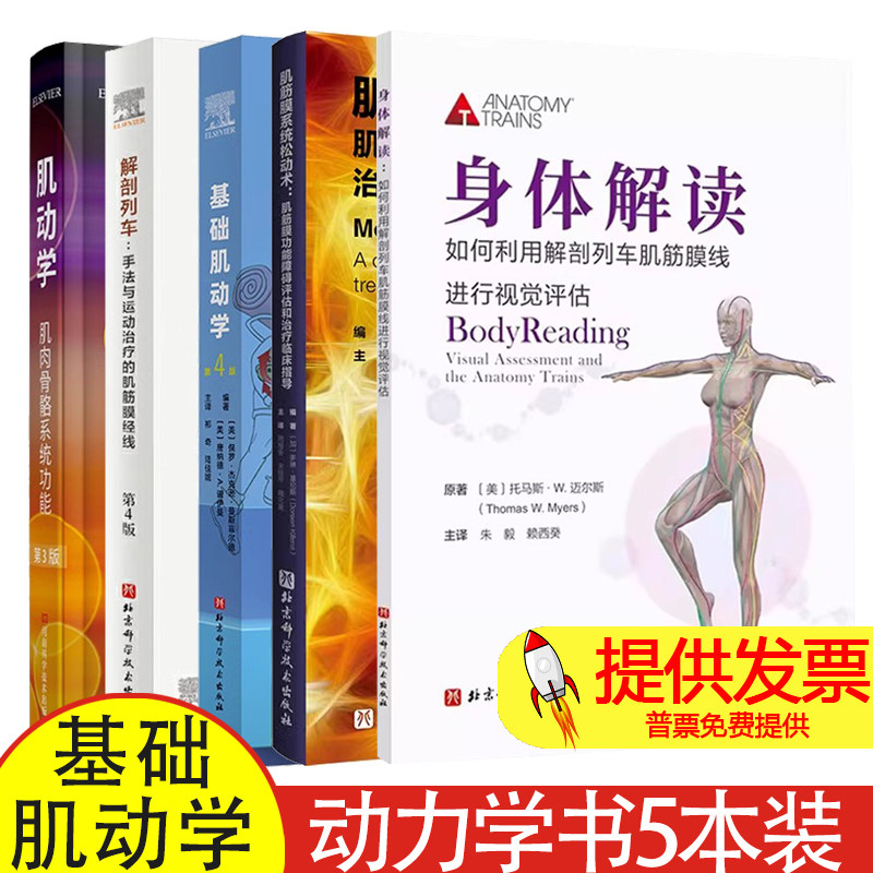 解剖列车+身体解读+肌筋膜系统松
