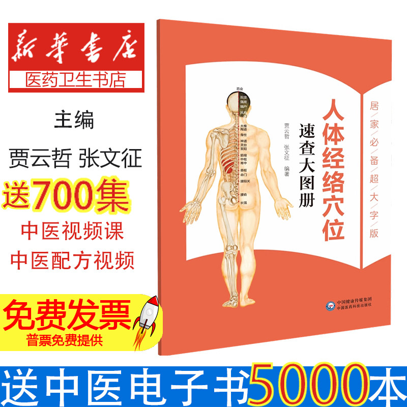 人体经络穴位速查大图册贾云哲 著中国医药科技出版社9787521455236医学卫生/中医