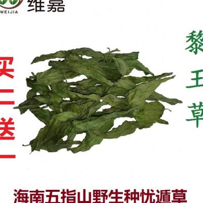 忧遁草干叶海南五指山黎王草茶海南忧遁草茶优顿草鳄嘴花优盾鲜叶