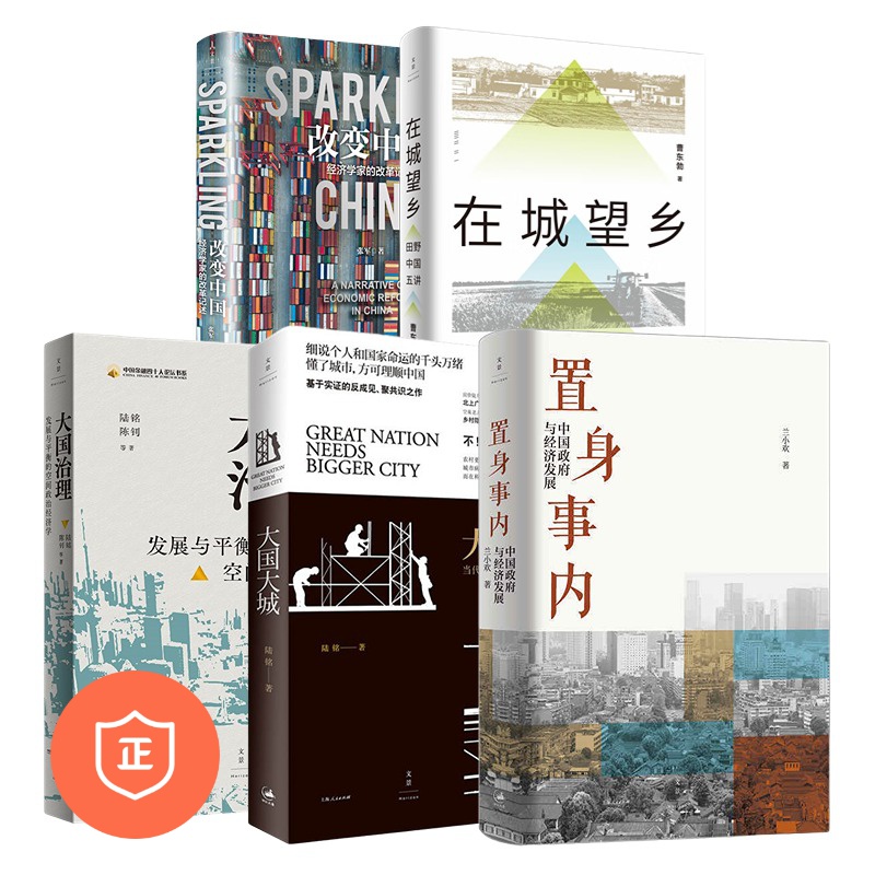 置身事内中国政府与经济发展