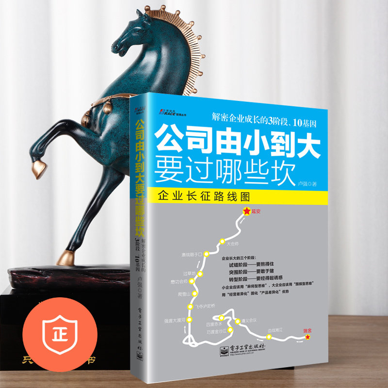 【正版】公司由小到大要过哪些坎儿   低成本创业/轻创业/从零开始学创业/新手开公司/从0到1开公司/创业从0到1