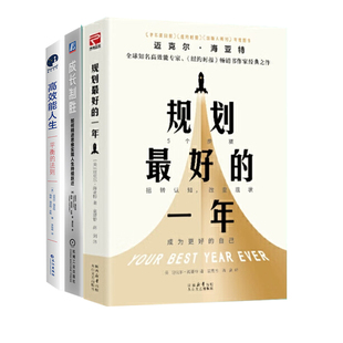畅销书作者迈克尔·海亚特全集3册：规划最好的一年+成长制胜：如何精进思维实现人生持续跃迁+高效能人生：平衡的法则