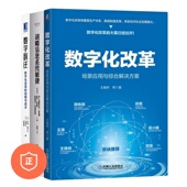 正版 设计 数字化转型落地应用3本套：数字化改革：场景应用与综合解决方案 商业模式 新 战略信息系统敏捷：赋能企业在