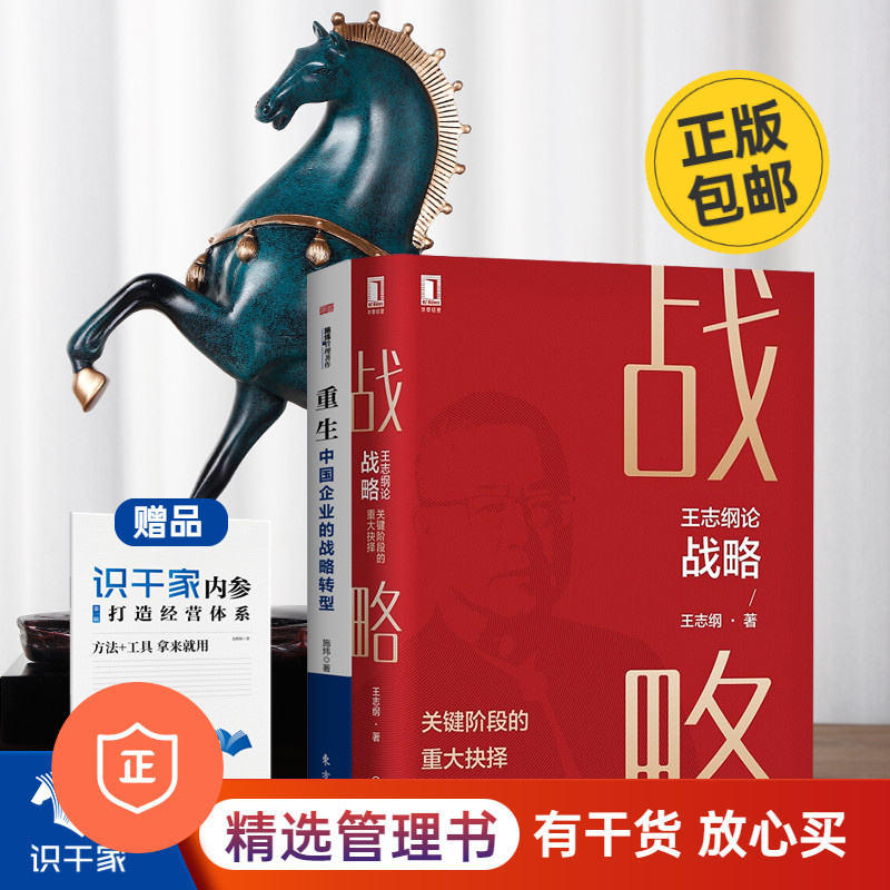 【正版】高处看战略2本套：王志纲论战略，关键阶段的重大抉择+重生，中国企业的战略转型 /蓝海战略商业人才战略地图