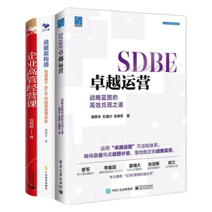 战略管理体系 战略架构师：构建基于BLM 企业高管经营课 高效兑现之道 战略到卓越运营高管指南3本套：SDBE卓越运营：战略蓝图