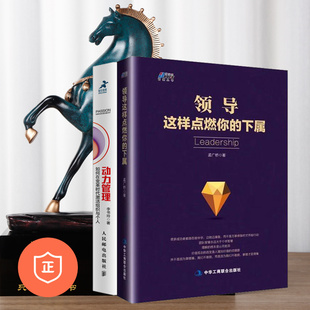 ：变革时代激活组织与个人 领导这样点燃你 可复制 正版 领导力 企业 激活员工动力2本套装 管理 下属