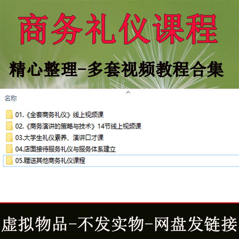 职业职场商务礼仪培训视频教程服刻录盘个性化服务
