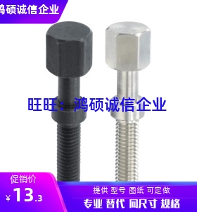 PAY21-M8-L20/L25/L30/35/40/45/50/55/60/70/80/100粗牙调整螺栓