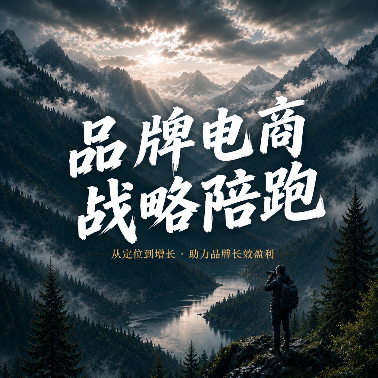 【品牌电商陪跑】网店电商代运营店铺全平台陪跑推广搜索指导流量
