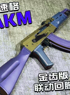 速格akm玩具ak47类型训练解压玩具模型肥肥钢镚